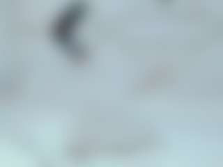 Stormy Butty's Live Sex Cam Show