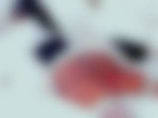 Stormy Butty's Live Sex Cam Show