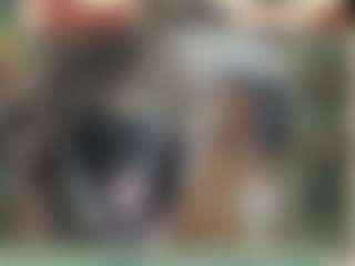 Bunni Button's Live Sex Cam Show