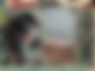 Bunni Button's Live Sex Cam Show