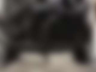 TheWolfeDen's Live Sex Cam Show