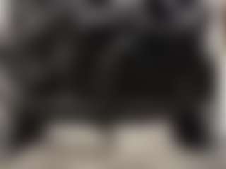TheWolfeDen's Live Sex Cam Show
