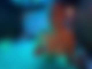 LucyAllen4201's Live Sex Cam Show
