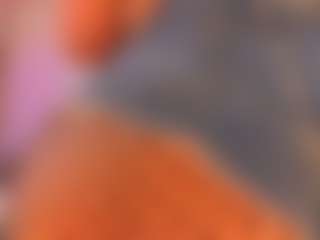 Sary Blake's Live Sex Cam Show