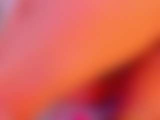 Sary Blake's Live Sex Cam Show