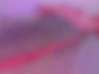 Sary Blake's Live Sex Cam Show