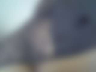 BossBoobies's Live Sex Cam Show