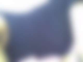 BossBoobies's Live Sex Cam Show