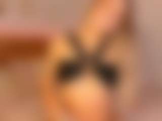 Kristal Connor's Live Sex Cam Show