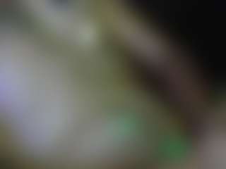 Live cam show with AntiSocialButterf1y - Smoking on SpankPalCams