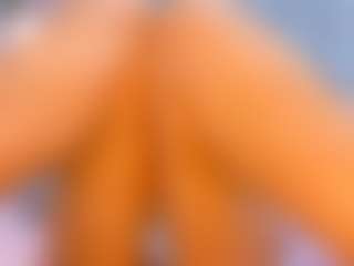 canelaLebran's Live Sex Cam Show