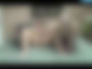 Live cam show with SarahDreamy - Orgasm on Dolls Live