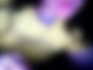camdoll4u's Live Sex Cam Show