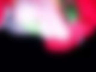Live-sekscamshow van camdoll4u