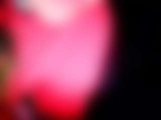 camdoll4u's Live Sex Cam Show