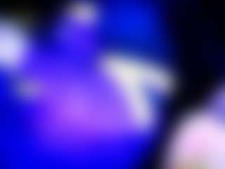 camdoll4u's Live Sex Cam Show