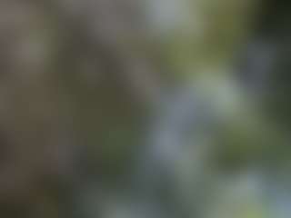 camdoll4u's Live Sex Cam Show