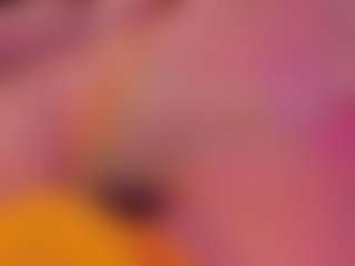 Live cam show with MeghanWolf - Hippie on MyBangCams