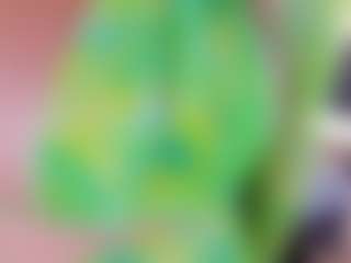 ninfomaria's Live Sex Cam Show