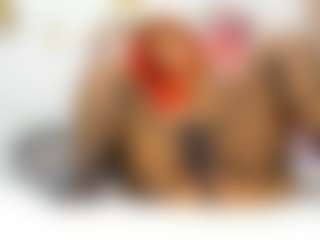 AnahiRoberts's Live Sex Cam Show