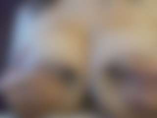 bigt3ti's Live Sex Cam Show
