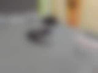 Live cam show with VeraWatts - Solo on TottyGirls