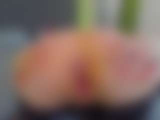 VeraWatts's Live Sex Cam Show
