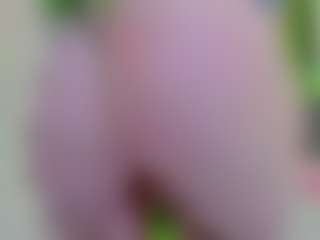 Live cam show with VeraWatts - Solo on Hubzter Live