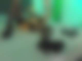 VeraWatts MILF webcam performer live streaming