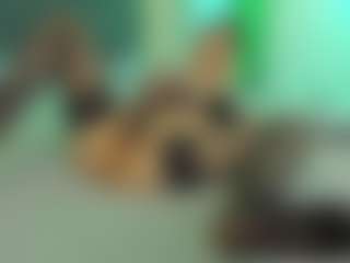 VeraWatts's Live Sex Cam Show