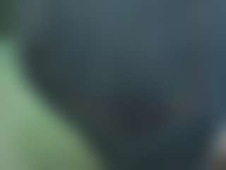 Live cam show with VeraWatts - Public on SpankPalCams