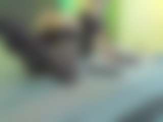 Live cam show with VeraWatts - Brown Hair MILF on crypto-cams