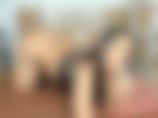 Dannessa's Live Sex Cam Show