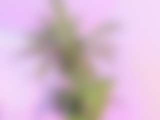Samanta-roberts's Live Sex Cam Show