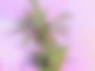 Samanta-roberts's Live Sex Cam Show