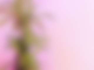 Live cam show with Samanta-roberts - Shaved on https://playwithruby.com