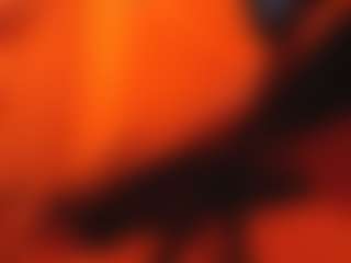 Live cam show with NoraNoir - Roleplay on hornycams.live