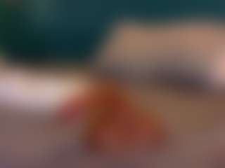 Cataleya's Live Sex Cam Show