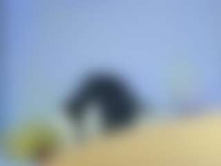 iris-torrez's Live Sex Cam Show