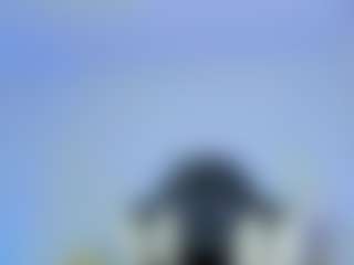 iris-torrez's Live Sex Cam Show