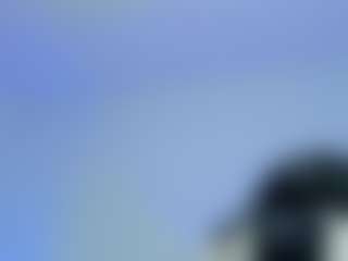 iris-torrez's Live Sex Cam Show