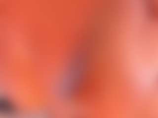 Cock Pleaser's Live Sex Cam Show