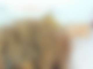 Live cam show with Cock Pleaser - Shaved Pussy on Camiplay Live