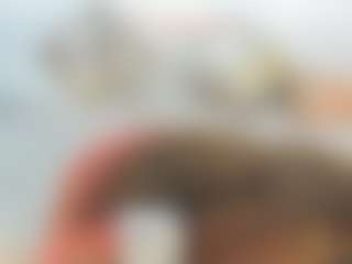 Cock Pleaser's Live Sex Cam Show