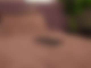 Elle Diane 👑's Live Sex Cam Show