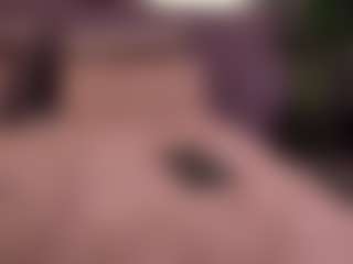Elle Diane 👑's Live Sex Cam Show