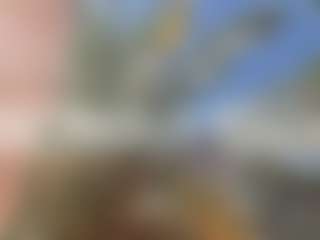Noah Bensi's Live Sex Cam Show