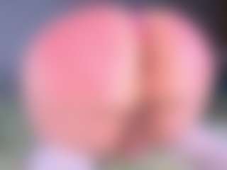 Konny-Jora's Live Sex Cam Show