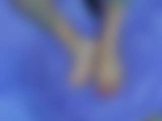 Hanna-moore1's Live Sex Cam Show