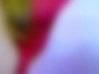 barby-cute's Live Sex Cam Show